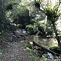 IMG_6816.JPG