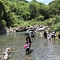 IMG_7116.JPG