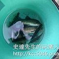IMG_7157.JPG