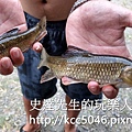 IMG_7158.JPG