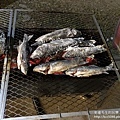 IMG_7156.JPG