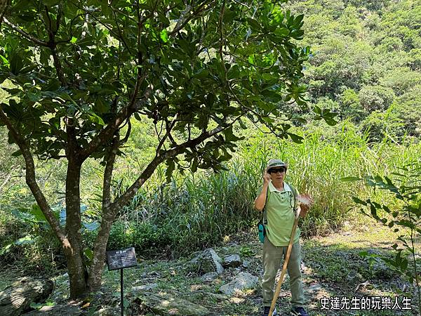 【屏東景點】雙流國家森林遊樂區~，@屏東縣獅子鄉