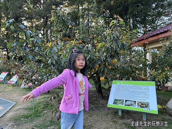 【福壽山露營區】車泊記~福壽山農場@台中市和平區