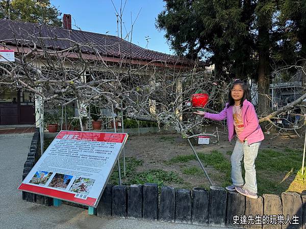 【福壽山露營區】車泊記~福壽山農場@台中市和平區