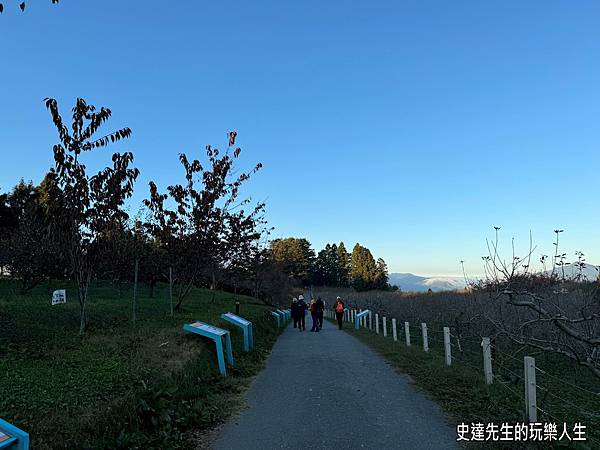 【福壽山露營區】車泊記~福壽山農場@台中市和平區