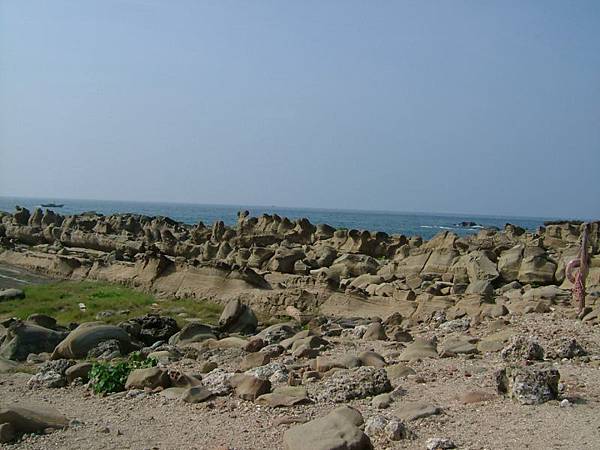 小野柳海岸一景