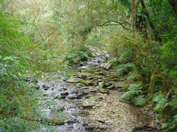 福山植物園一景