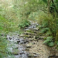 福山植物園一景