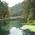 福山植物園一景