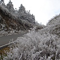 太平山─雪景