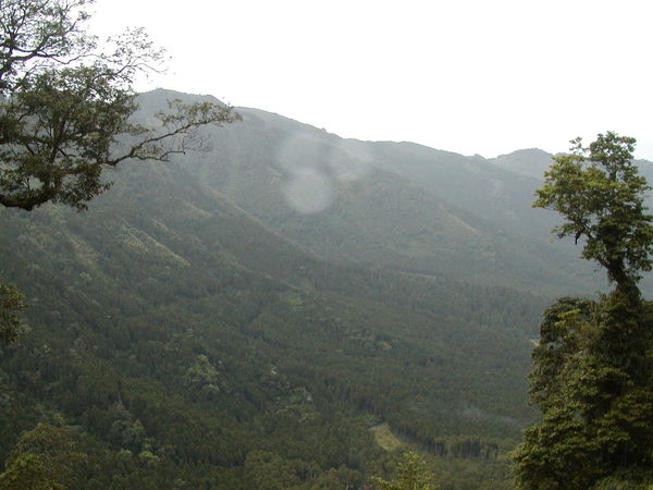 登沿路暸望台風景-Scene 3