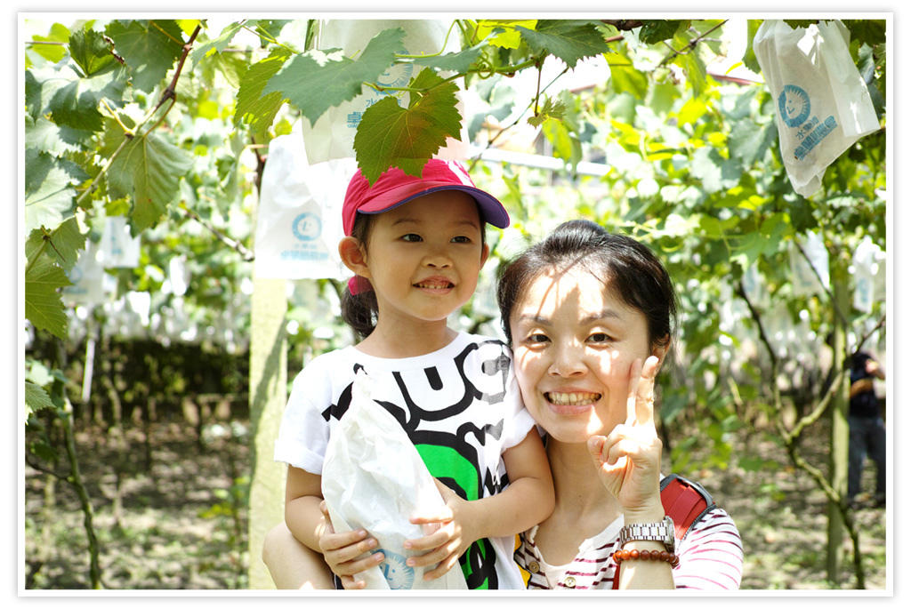 DP2M0799-1 DP2M0799-1