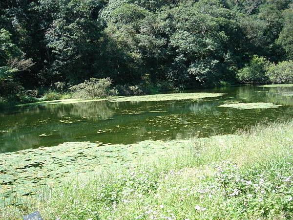 福山植物園內景