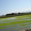 田園風景