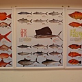 魚類圖片