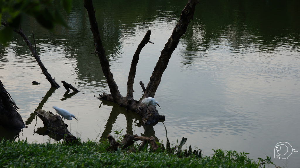 大湖公園