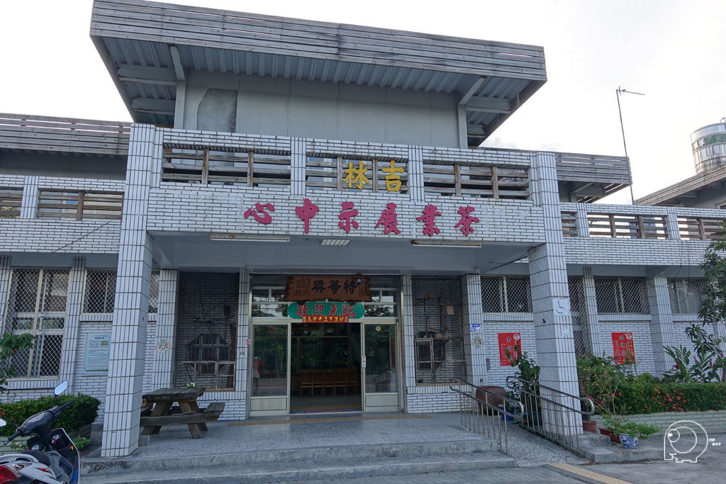 吉林茶園