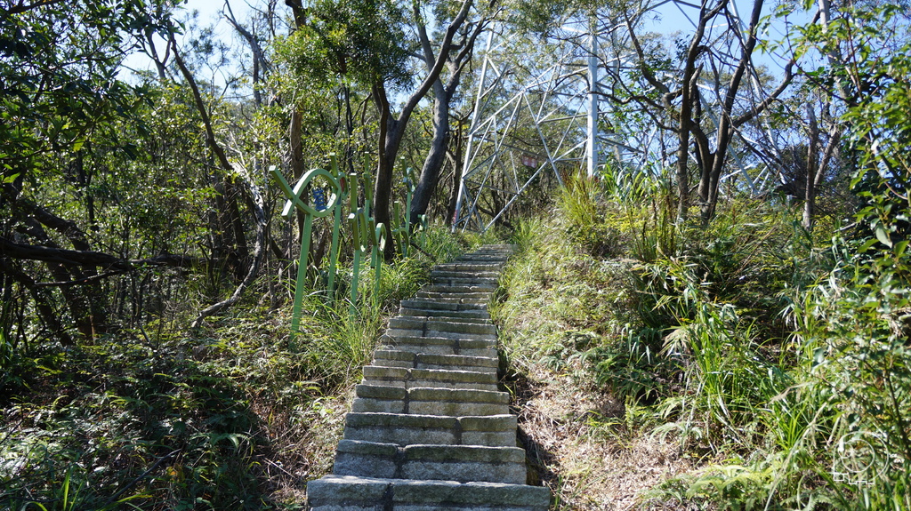 鯉魚山-圓覺寺環狀步道