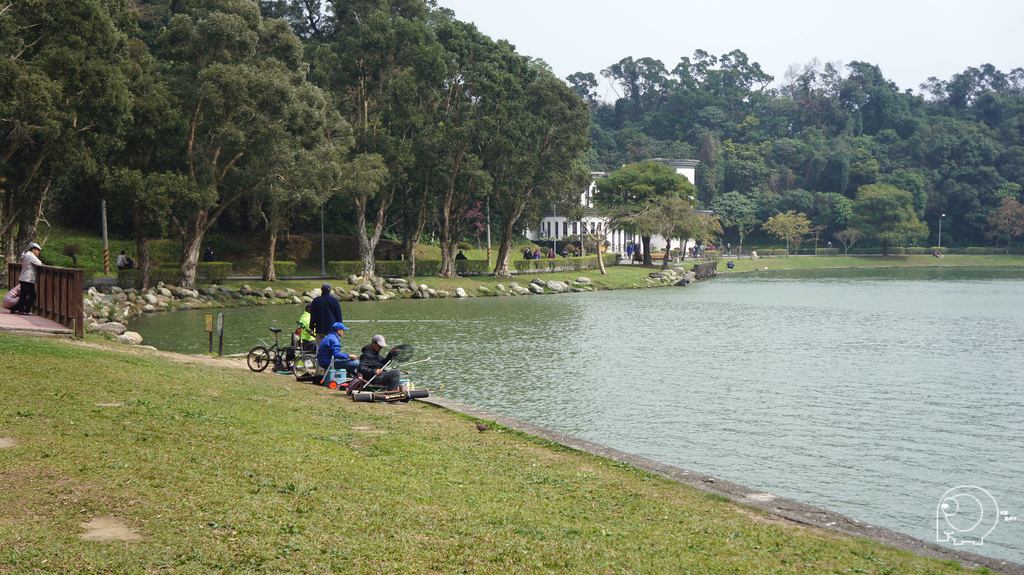 碧湖公園