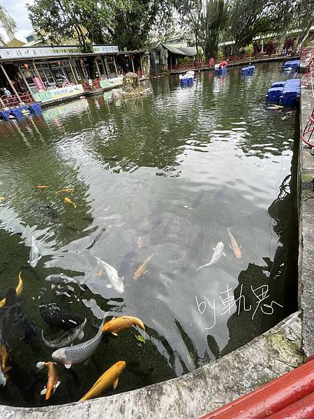 D112E083-21AD-4F59-B4F9-B31B622DCEFE.jpeg D112E083-21AD-4F59-B4F9-B31B622DCEFE.jpeg