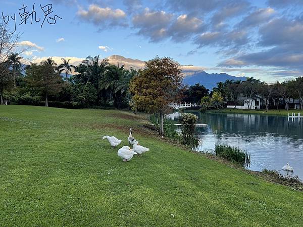 AC02040F-9CC3-459A-B9EF-D2522165969B.jpeg AC02040F-9CC3-459A-B9EF-D2522165969B.jpeg