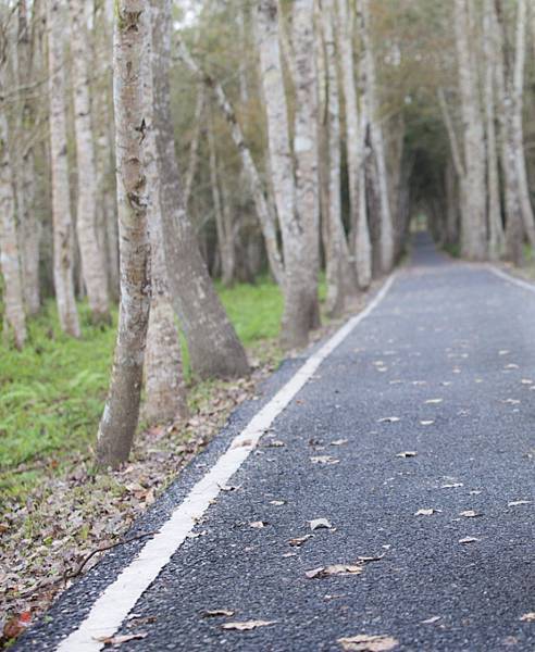 44153AC6-930D-49E4-A930-7CE6425D7F53.jpeg 44153AC6-930D-49E4-A930-7CE6425D7F53.jpeg