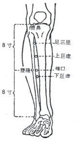 刮痧減肥法9