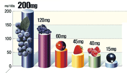 花青素 Anthocyanin 的特性 食物來源及食物功效 醫院營養師 林圓真營養師 營養資訊收集站 痞客邦