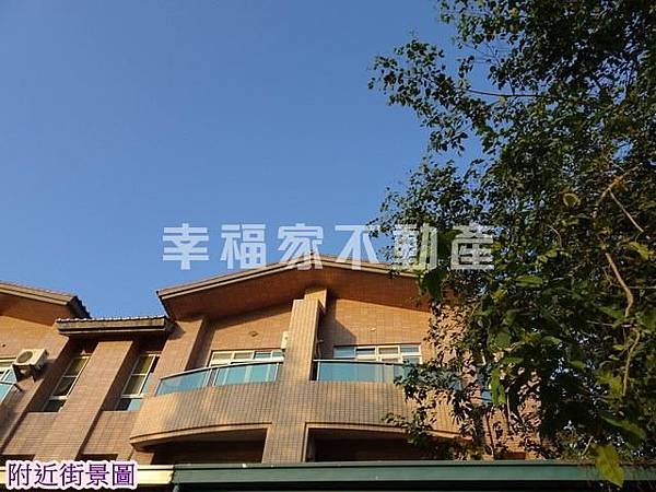 麻豆真理大學大面寬店面1     （投資好標地）