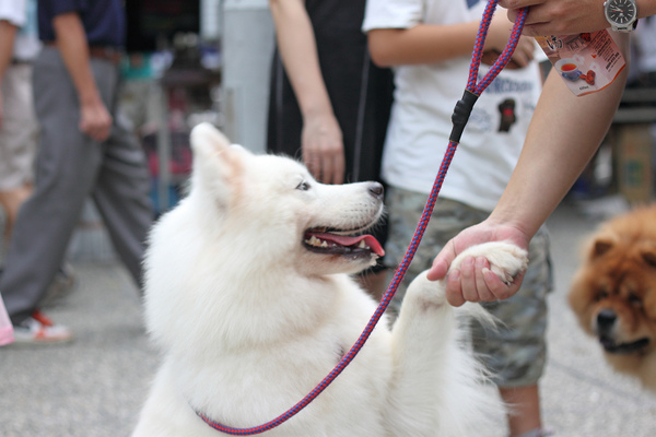 nEO_IMG_2009-09-13週日綠園道0029.jpg