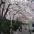 Apr.01。Burrard Station again