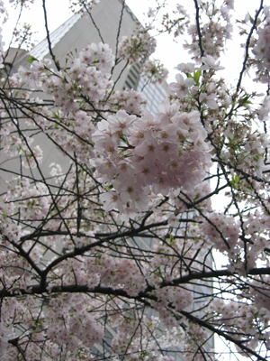 Apr.01。Burrard Station again