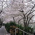 Apr.01。Burrard Station again