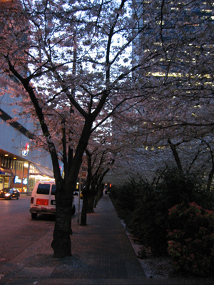 Apr.03～正式搬家。Burrard,night.