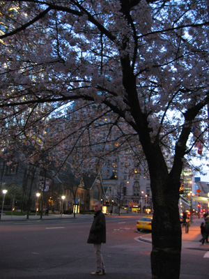 Apr.03～正式搬家。Burrard,night.