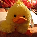 Apr.11~After Easter Sale~Easter Duck