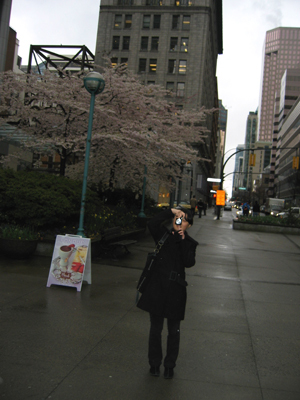 April 04-Sakura in Van