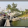 nEO_IMG_IMG_6675.jpg