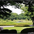 nEO_IMG_IMG_3348.jpg