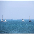 nEO_IMG_IMG_8895.jpg