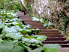 山豬溝.jpg