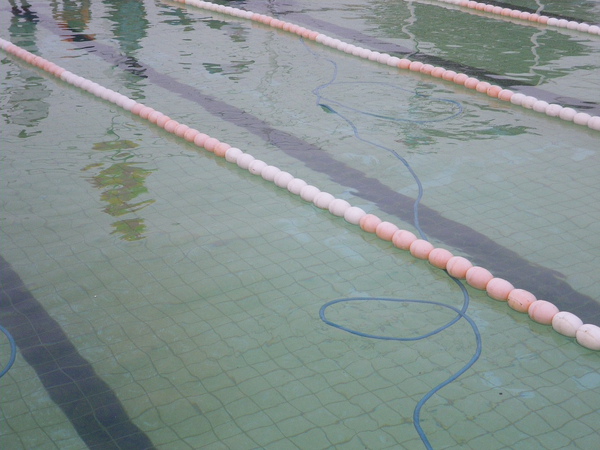 IMGP2967.JPG