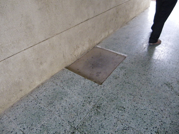 IMGP4218.JPG