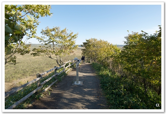 釧路濕原展望台30