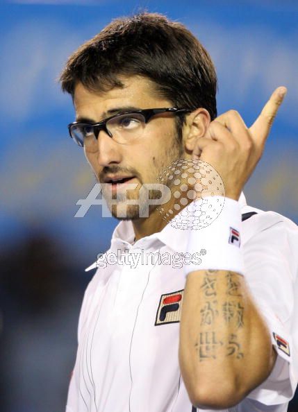 Tipsarevic 2.jpg