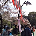 20160409上野公園