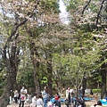 20160409上野公園