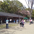 20160409上野公園