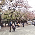 20160410靖國神社