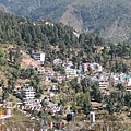 IMG_1466.JPG